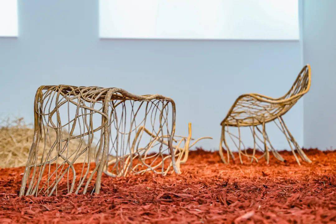 剧变的世界,如何才能“去中心化”地重塑?