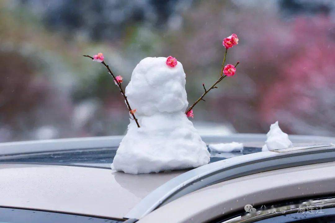 连江梅洋村“踏雪寻梅”景象！美翻了！