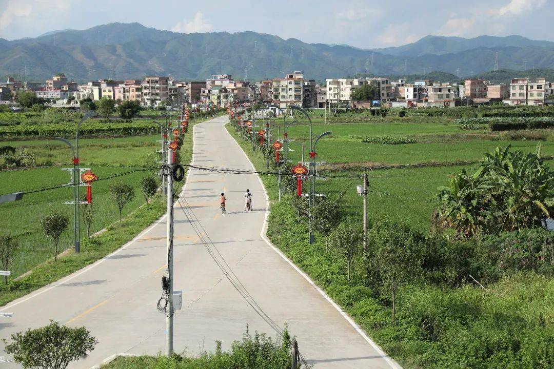 糊了麻将怀集全力推进冷坑镇全域土地综合整