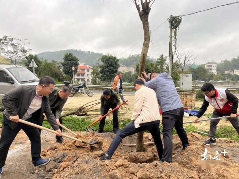 党建引领植新绿信宜北界掀起乡村绿化新热潮(图1)