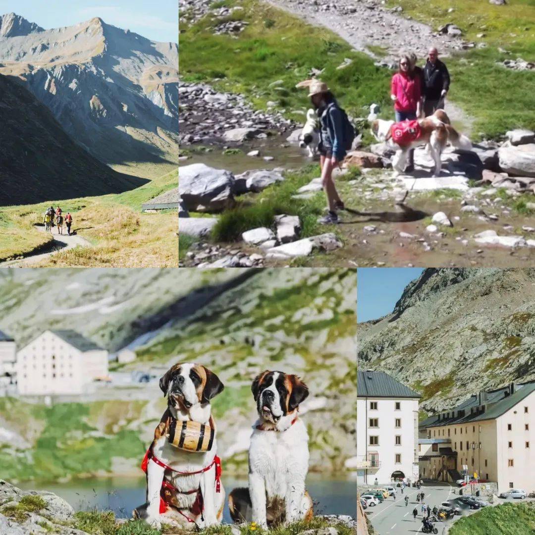 【暑期欧洲营】海蒂和爷爷的家---穿越瑞意法，阿尔卑斯斯TMB亲子营