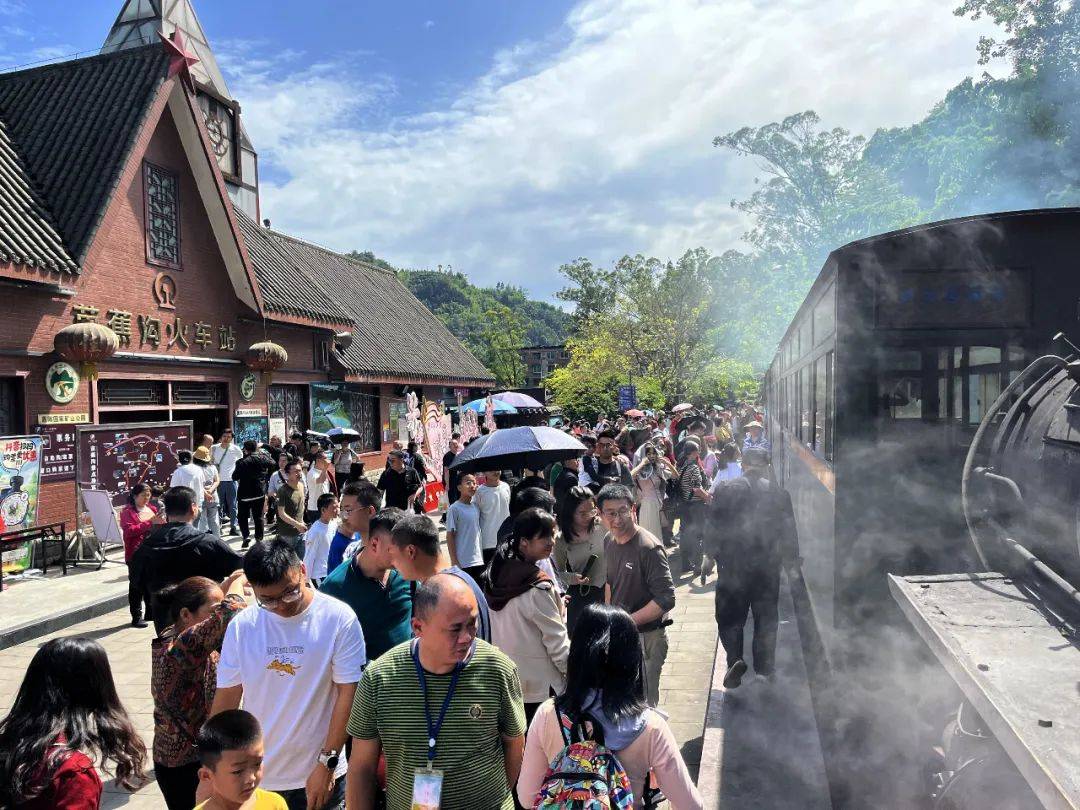 知识产权领域2024交出“高分答卷”