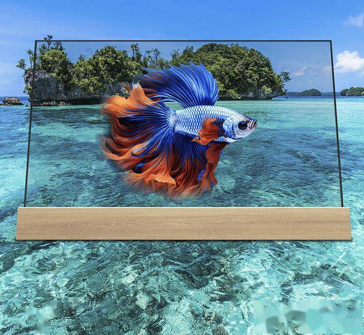 66900 元，飞利浦推出“水木清华”55 英寸透明 OLED 电视
