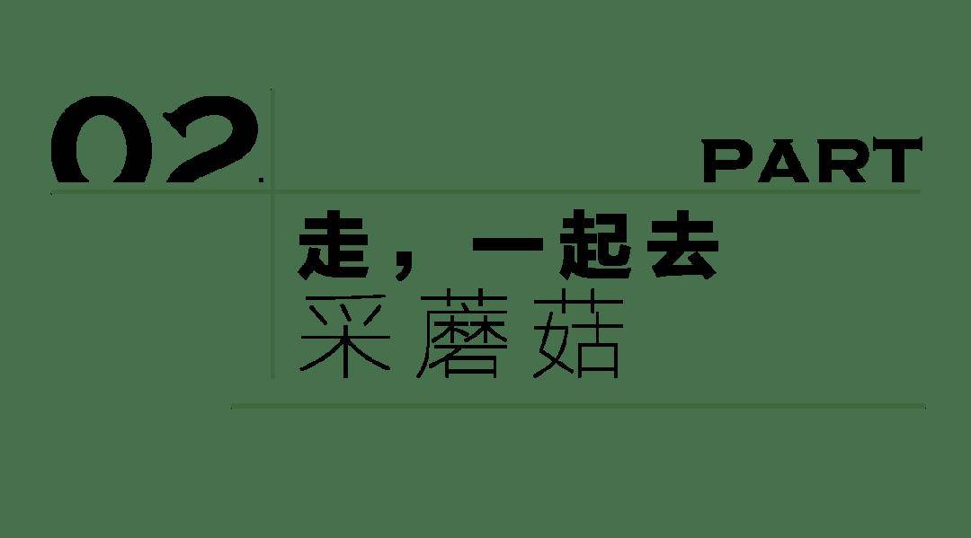 🌸黄山日报【新澳门内部资料精准大全】_卧龙区：加快青年发展型城市建设