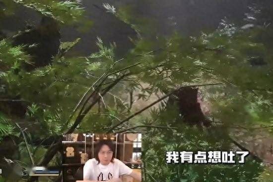 《黑神话》第一批受害者出现了:张大仙晕3D当场下播-黑神话公布售价