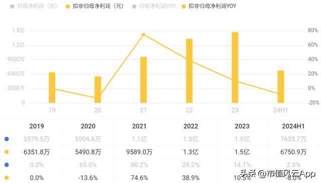 联域股份：红海中打造差异化五年营收年增27%(图13)