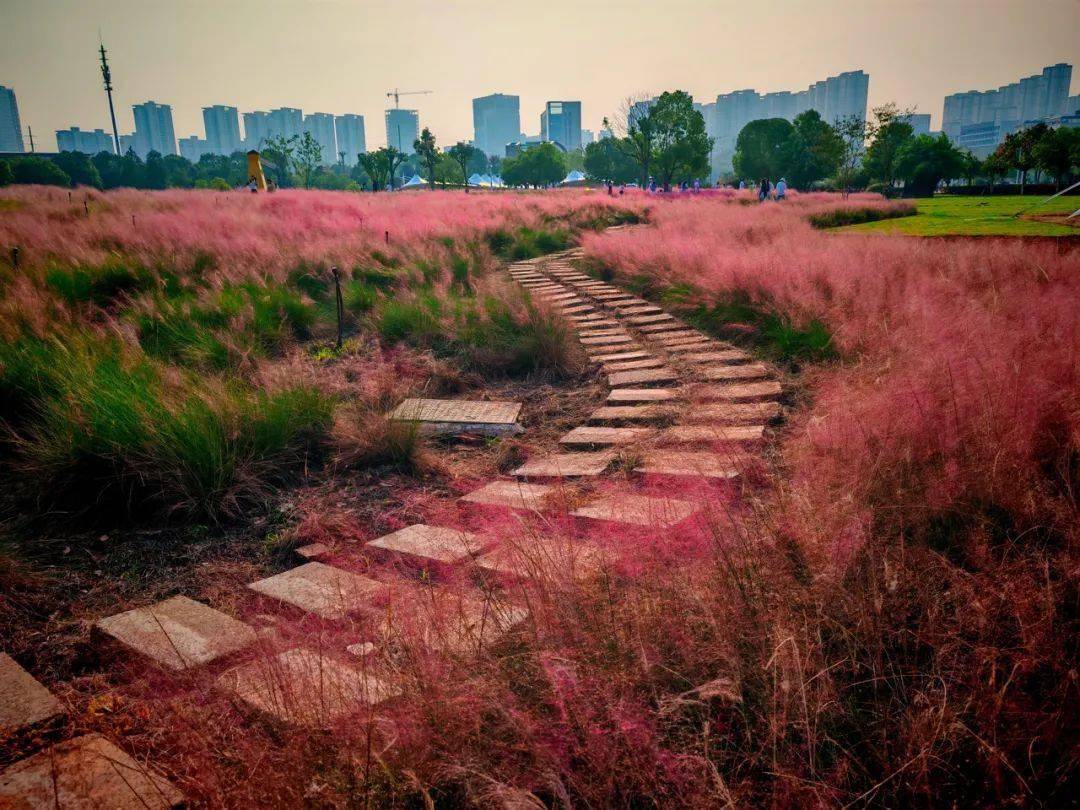 打卡湖南秋日限定美景,去这几个地方就够了 打卡湖南秋日限定美景,去这几个地方就够了