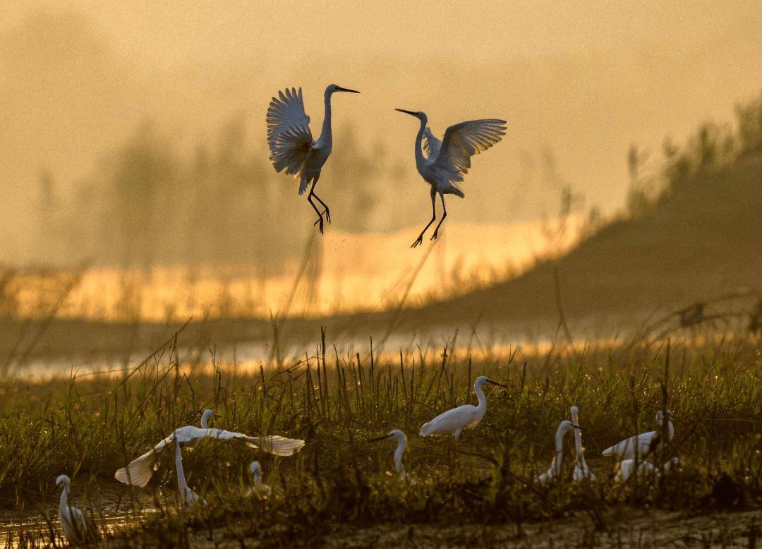 打卡湖南秋日限定美景,去这几个地方就够了 打卡湖南秋日限定美景,去这几个地方就够了