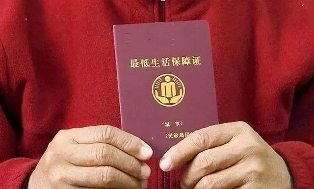 第二类是低保户造假者。低保政策系为保障困难群众之基本生活而制定的重