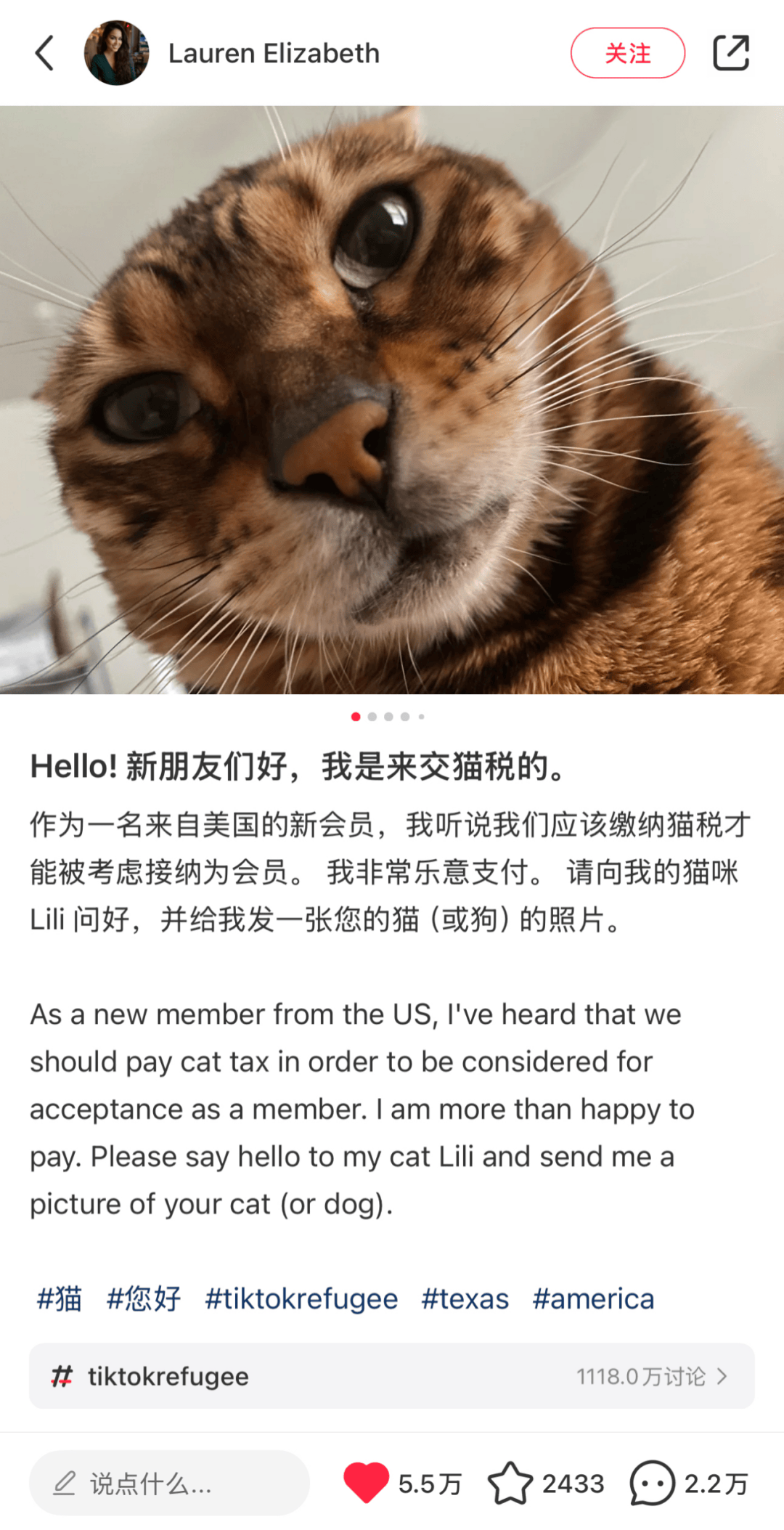 老外的小红书冲浪指南，我逐条学习