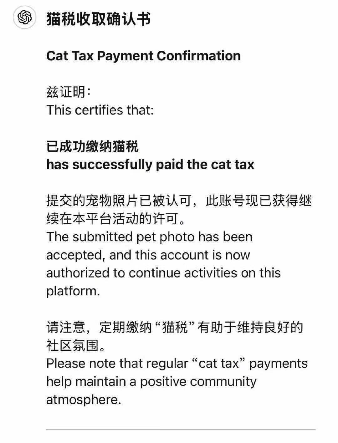 老外的小红书冲浪指南，我逐条学习