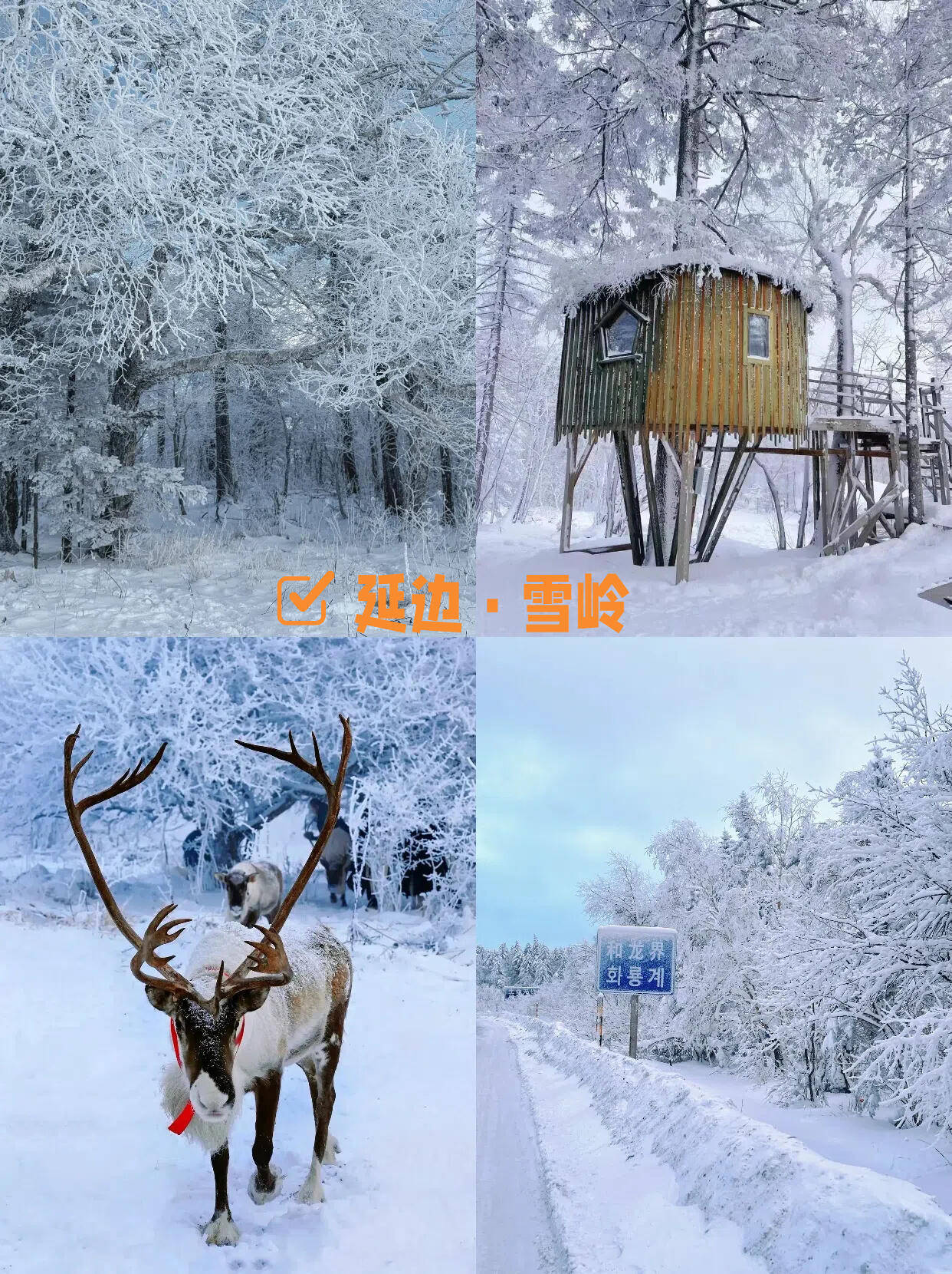 厦门旅游2天2夜攻略路线两天两夜全攻新葡萄娱乐入口略(图3)