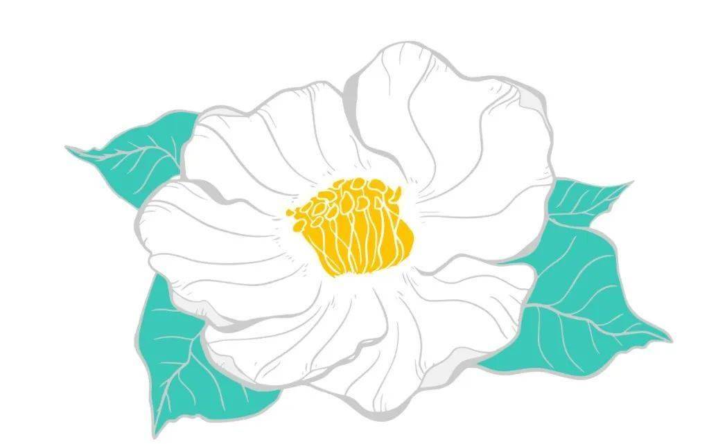 小火箭节点共享2025