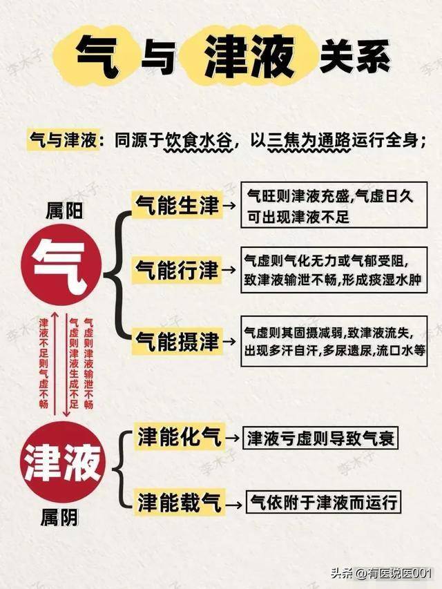气血津液大揭秘：你不可不知的身体奥秘！