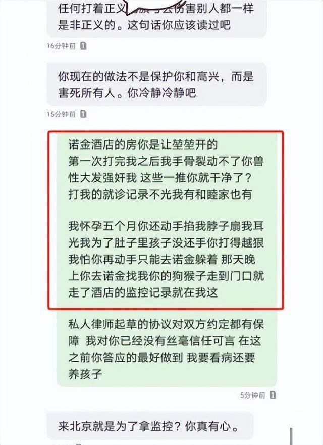 和妻子丁克和情人生子新剧被换脸央视彻底撕下高亚麟的体面2025年6月6日
