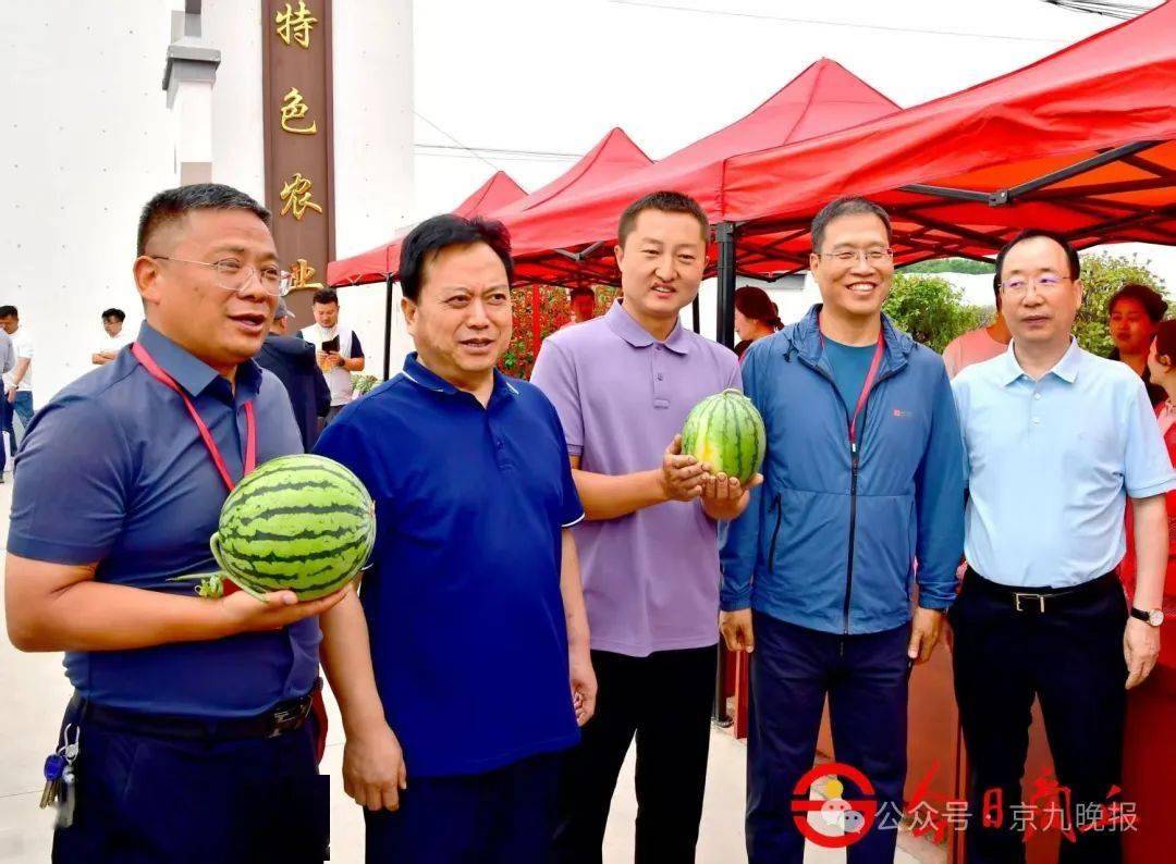 @吃瓜群众商丘一地18万亩西瓜集中上市，吃瓜群众网