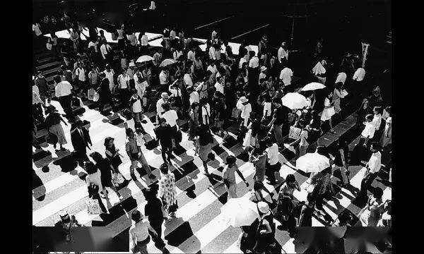 森山大道 daido moriyama 摄影作品分享