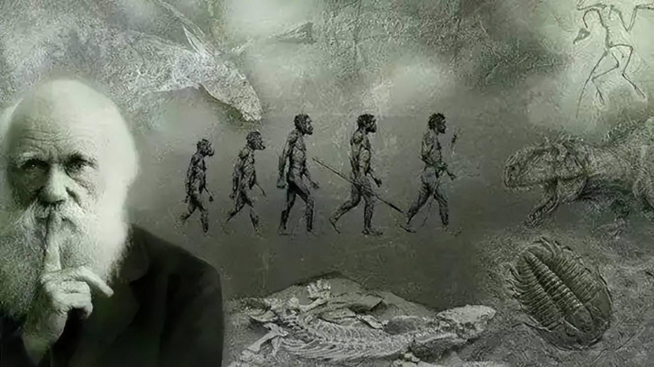 深度科普：为何人类比猿少两条染色体？难道进化论错了？