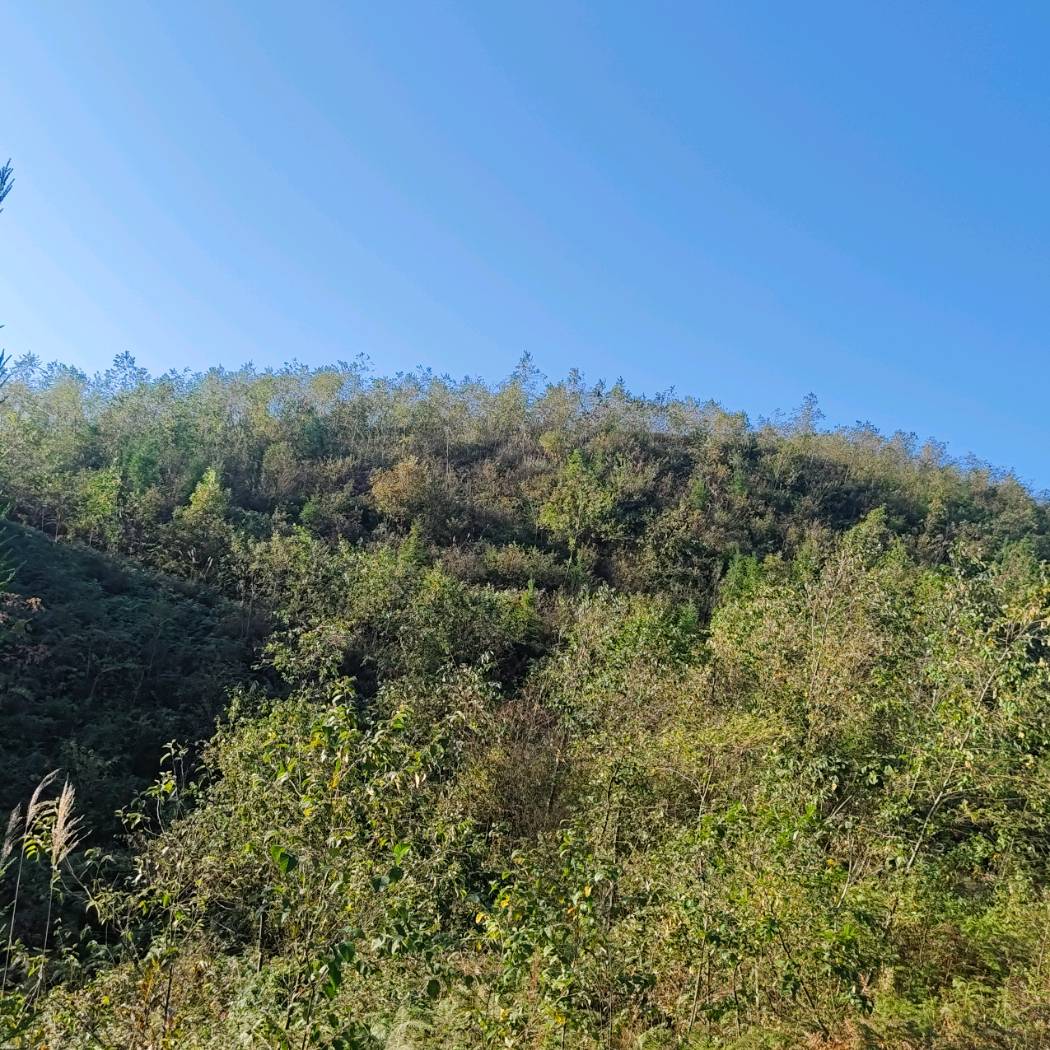 2026电动阀门厂家推荐:口碑排行参考