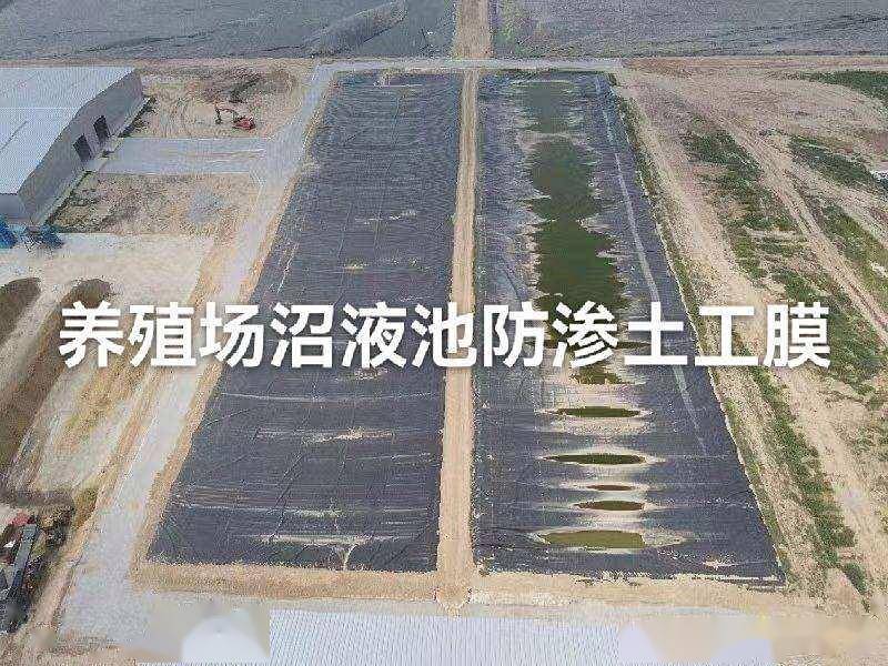 文章配图-2