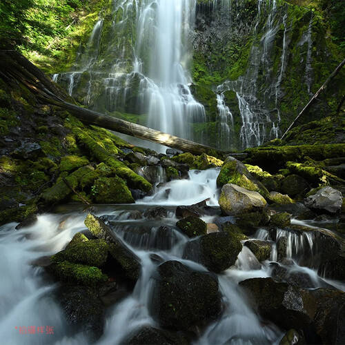 尊龙凯时-人生就是博z6com|WRITEAS注射|捕捉每一个瞬间：尼康Z14-