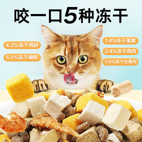 怎么挑选好的猫粮 e7234d44215d4a29be50e847b63ac4cb.jpeg