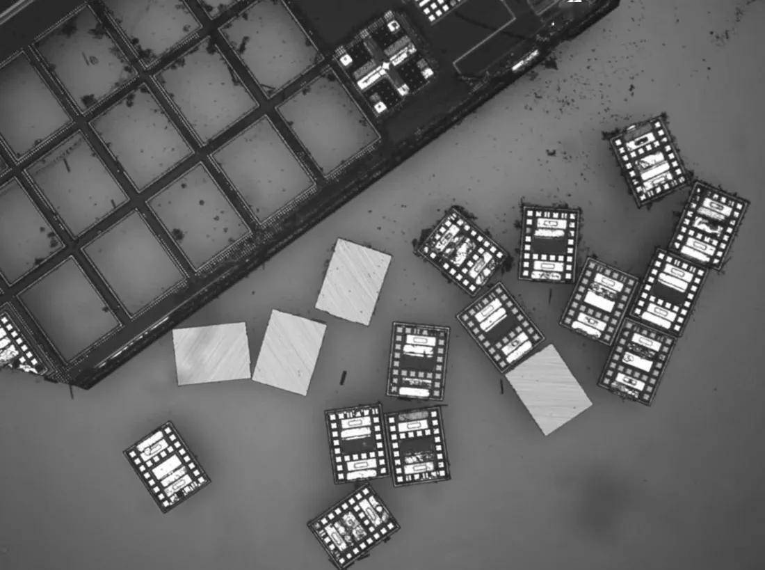 比盐粒还小,科学家研发出世界上最小的自主机器人