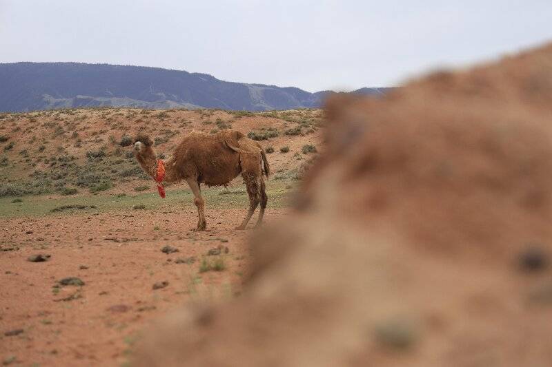 Binance Casino - 领先的