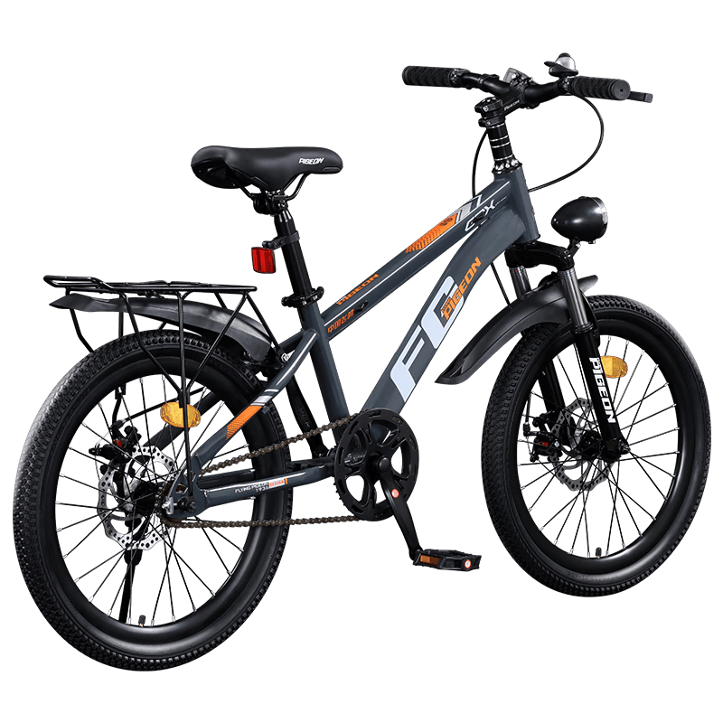 飞鸽山地自行车：青少年骑行的理想选择(图1)