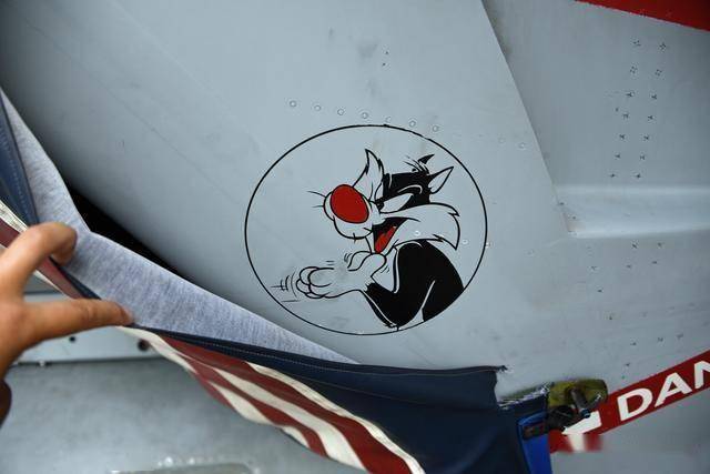 从弃子到全能王：麦道F/A-18“大黄蜂”的逆袭之路