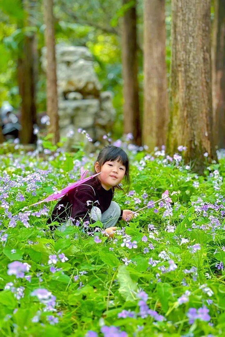 【五一不涨价爆款】住度假款凯悦，大草坪泳池乐园N多玩乐可享！宠物友好！家庭出游太合适了！