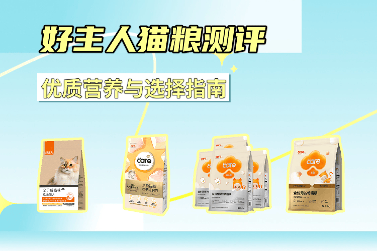 9a06e89a34d24accb27194e052ed5884.png