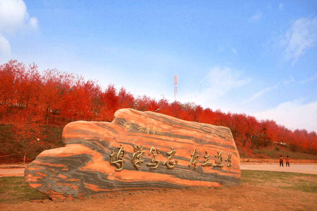 文章配图-4