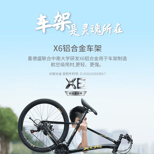 喜德盛(xds)黑客380山地自行车评测:入门级骑行的理想选择(图1)