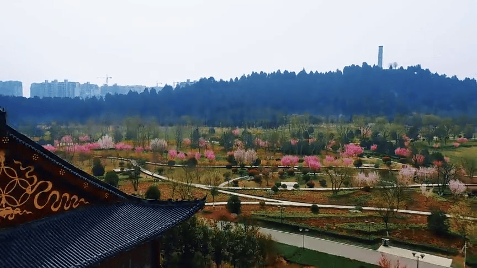 济宁市嘉祥县春风有信花开有期