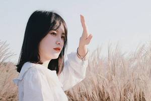 宝付支付被指为高炮提供渠道 涉嫌联合高利贷平