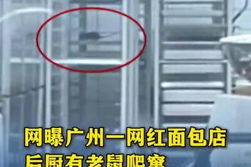网红面包店“国王的面包师”后厨惊现老鼠 引投诉与店家致歉