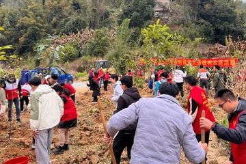 擦亮高质量发展的民生底色 各地进一步保障和改善民生观察