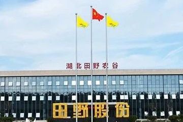 内控存重大缺陷、总经理被立案调查：田野股份进入多事之秋