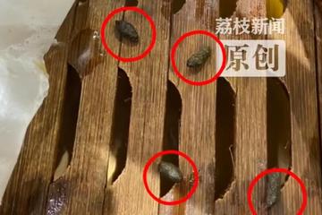 知味观餐厅吃小笼包时发现"老鼠屎" 食客崩溃：快吃完才看到