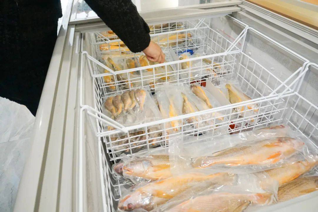 瓯越佳飨 | 最初生鲜,解锁最源头海鲜的人生新吃法_温州_服务_杭州