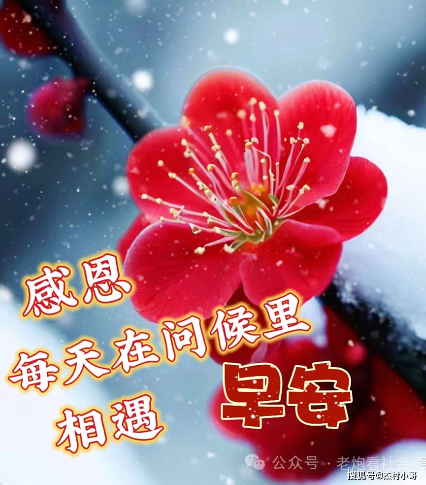 1月5日最新漂亮的早上好图片,小寒将至早安暖心问候祝福短句_生活