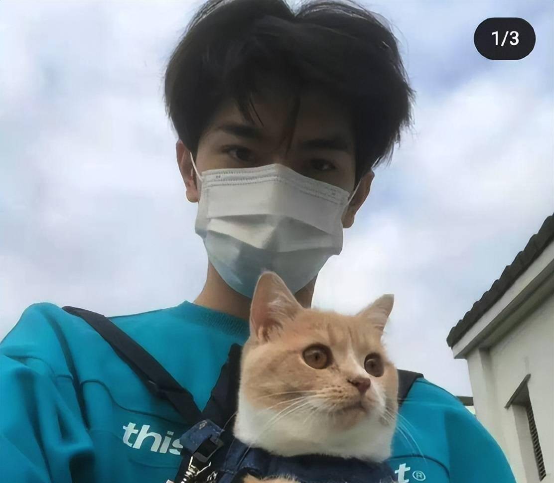 在国内不温不火,在国外却大受欢迎,林一的演艺生涯太无奈_林逸_电影