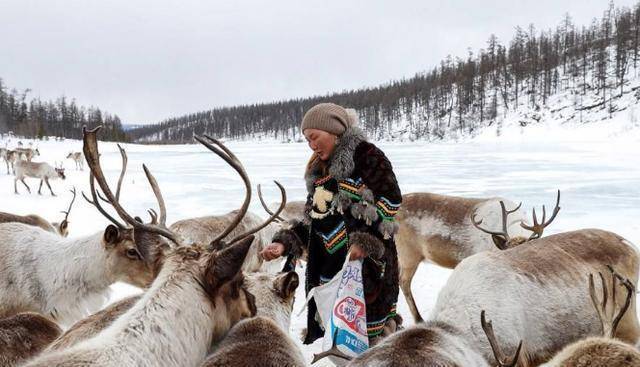 零下50度的天气,北极圈的雅库特人能吃什么?