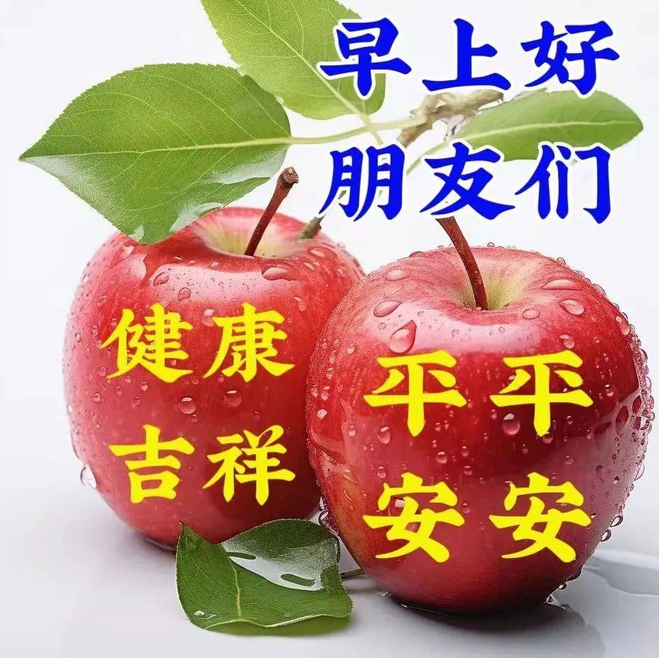 1月8日周一早上好