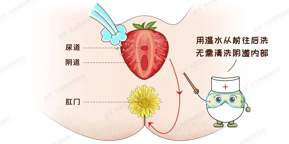 女宝尿道口发炎图片图片