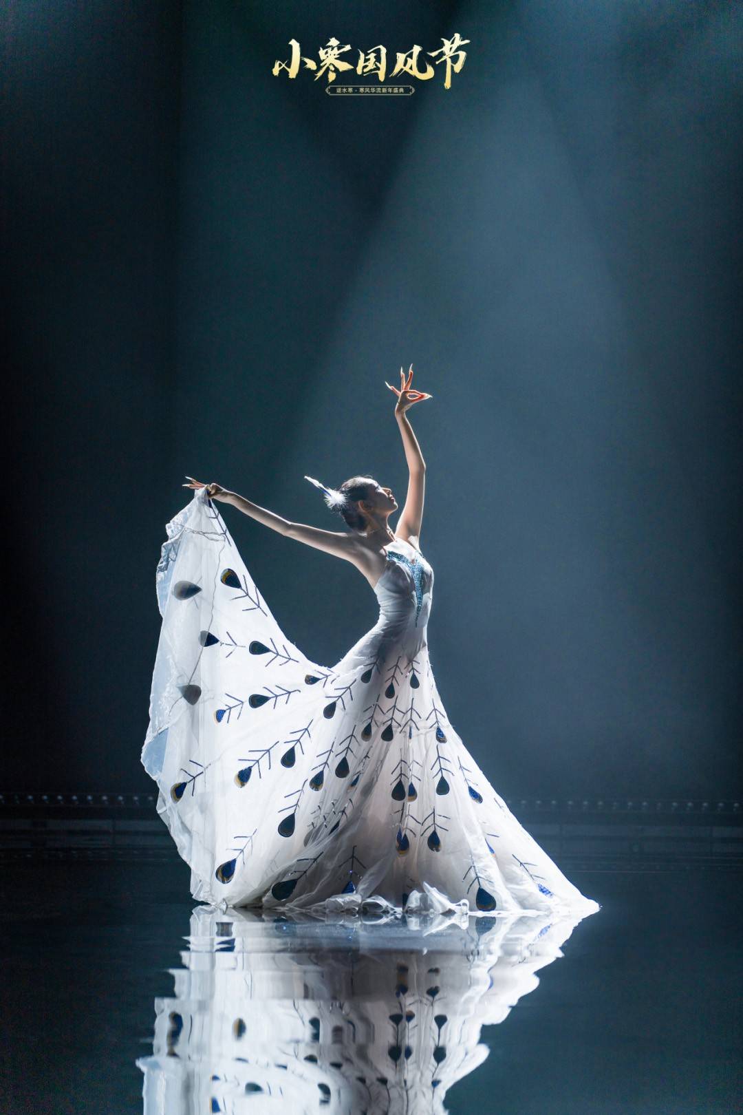 杨丽萍舞团舞者白兔就在这动人心魄的歌舞间隙中,晚会现场的气氛也在