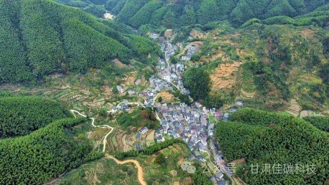 竹林碳汇 促进生态产品价值实现_罗京_竹岭_调研