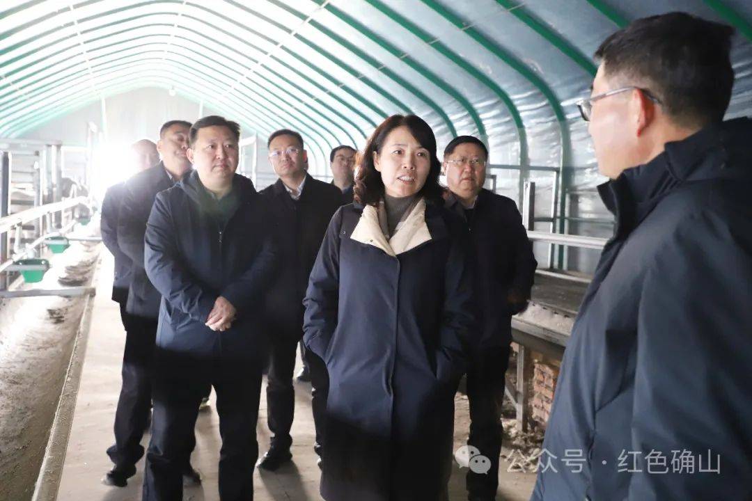 县委常委,政法委书记王霞,县委常委,瓦岗镇党委书记狄艳松,副县长