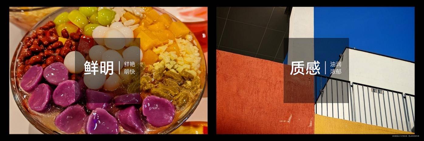 荣耀Magic6系列发布，荣耀任意门开启应用生态全新体验